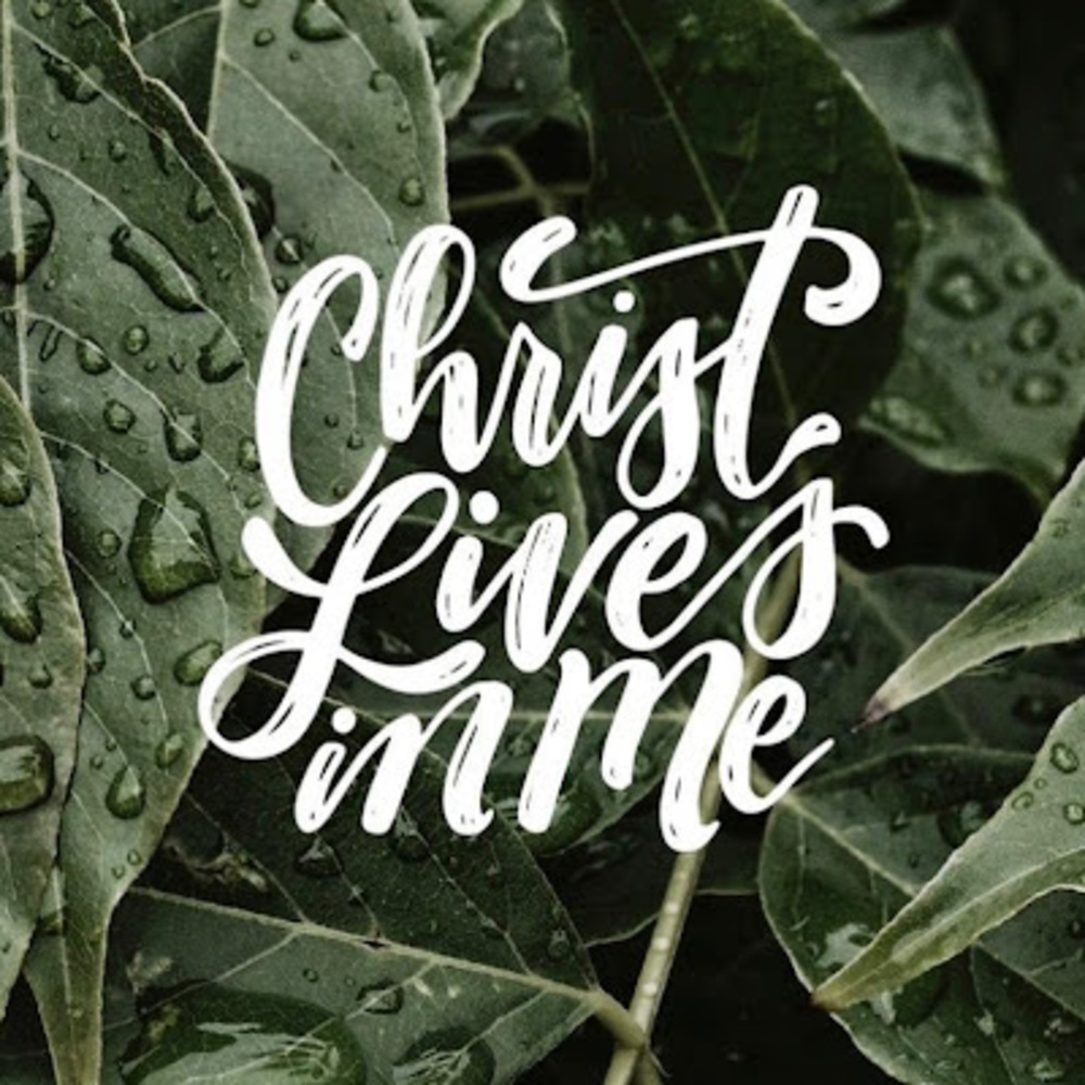 Meet your Posher, Elleigh